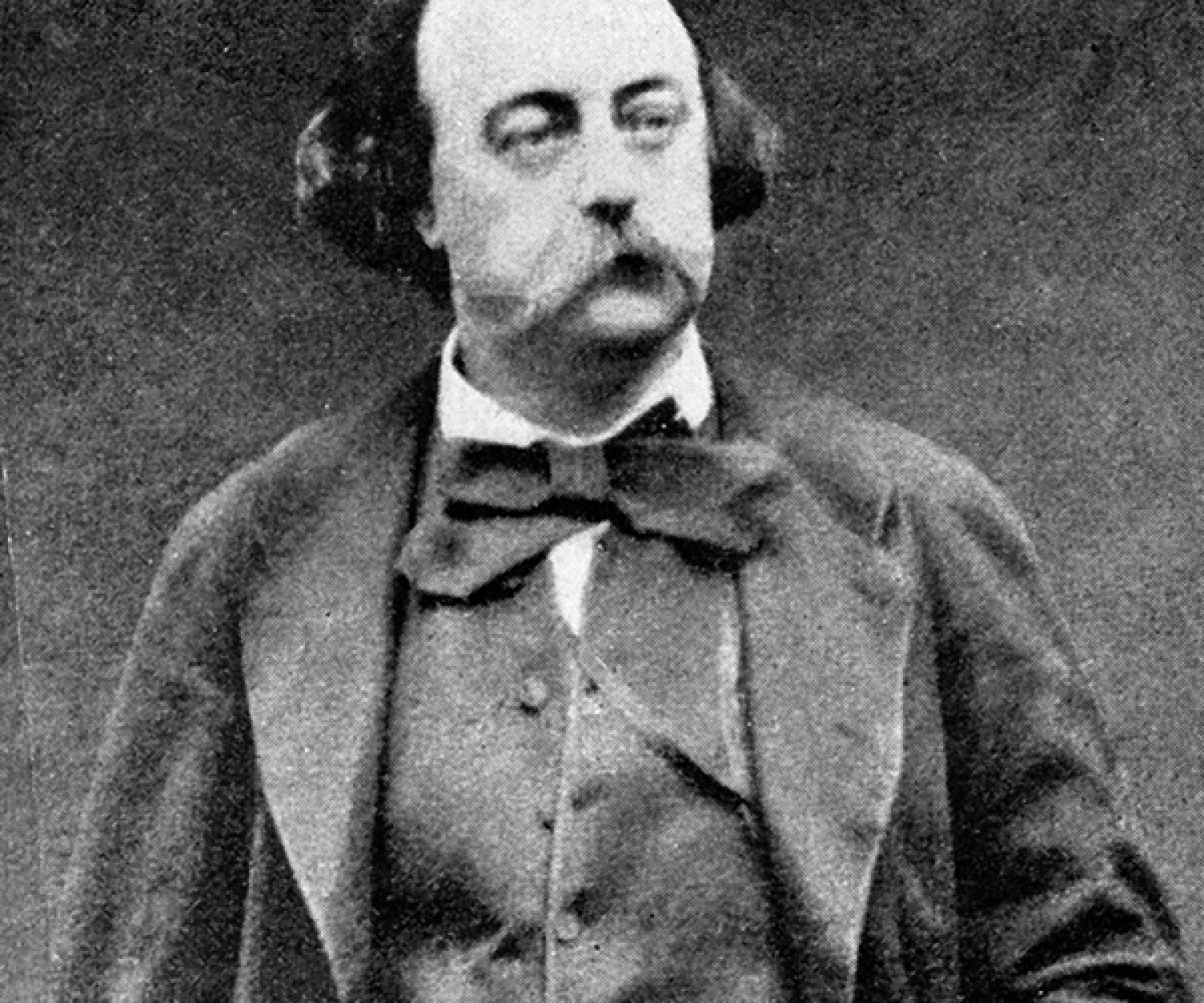 Gustave Flaubert image