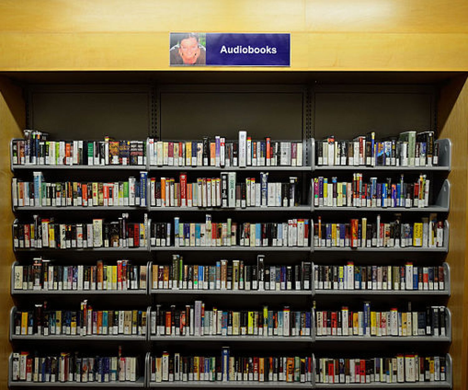 Susannah Fullerton - Audiobook Library. by Raysonho