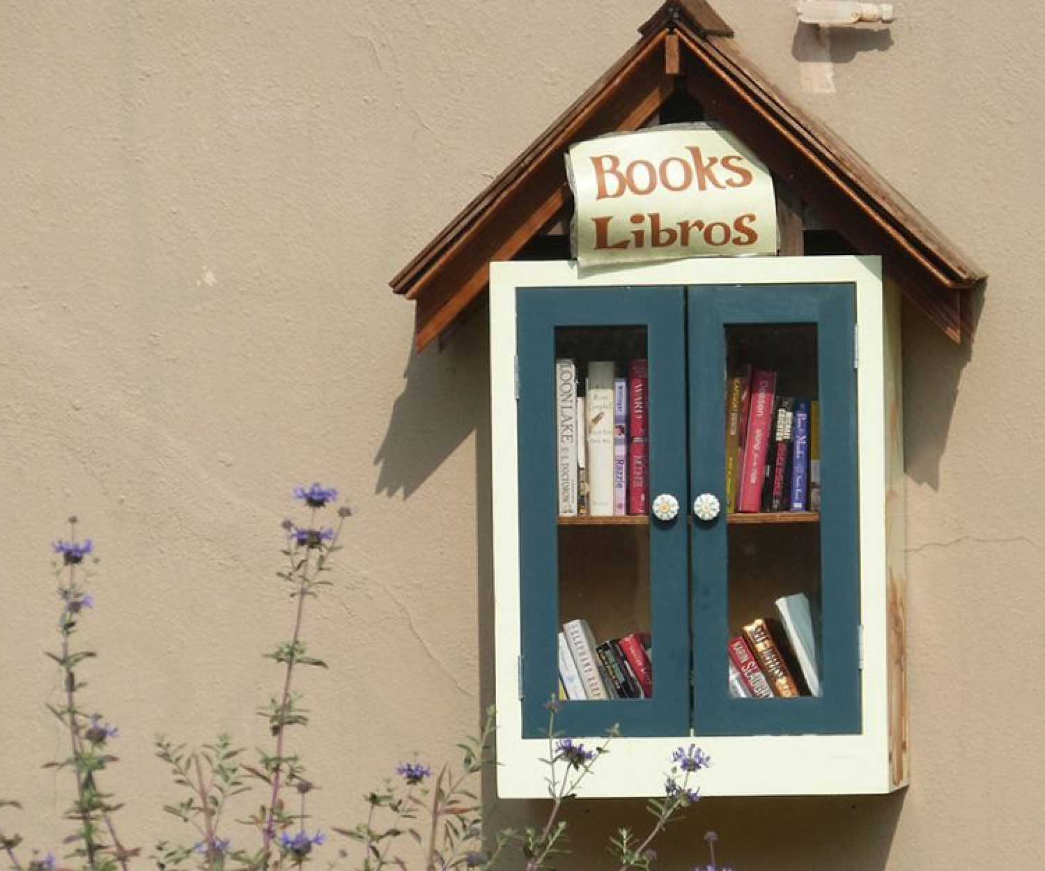 A Little Free Library