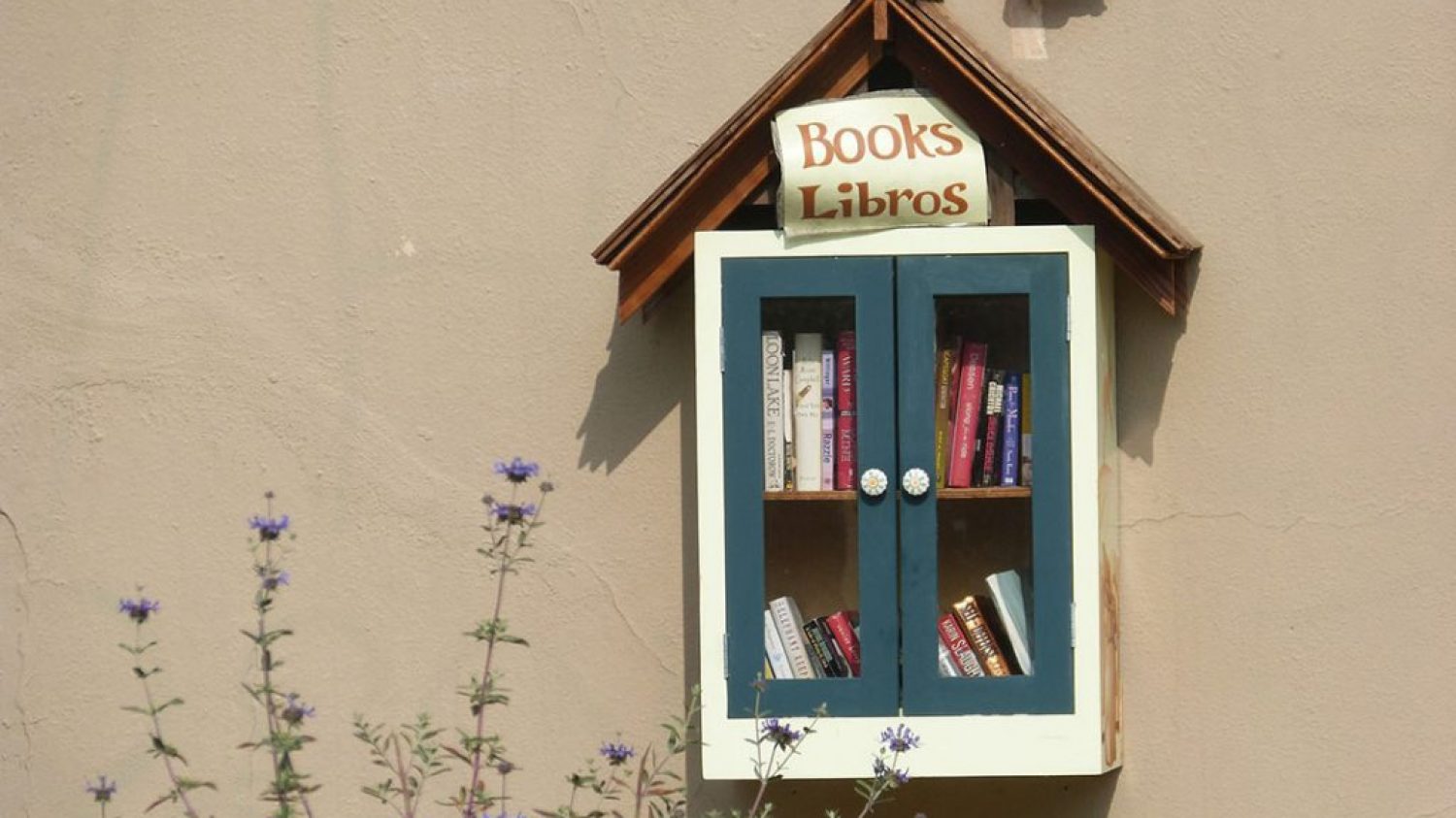 A Little Free Library