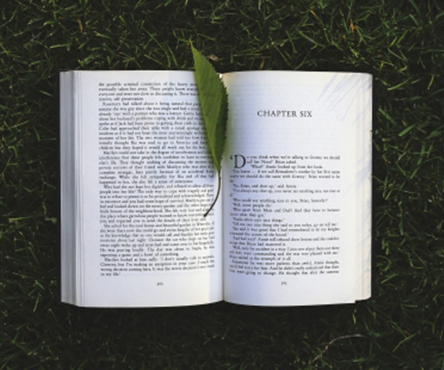 Do you ditch or endure?