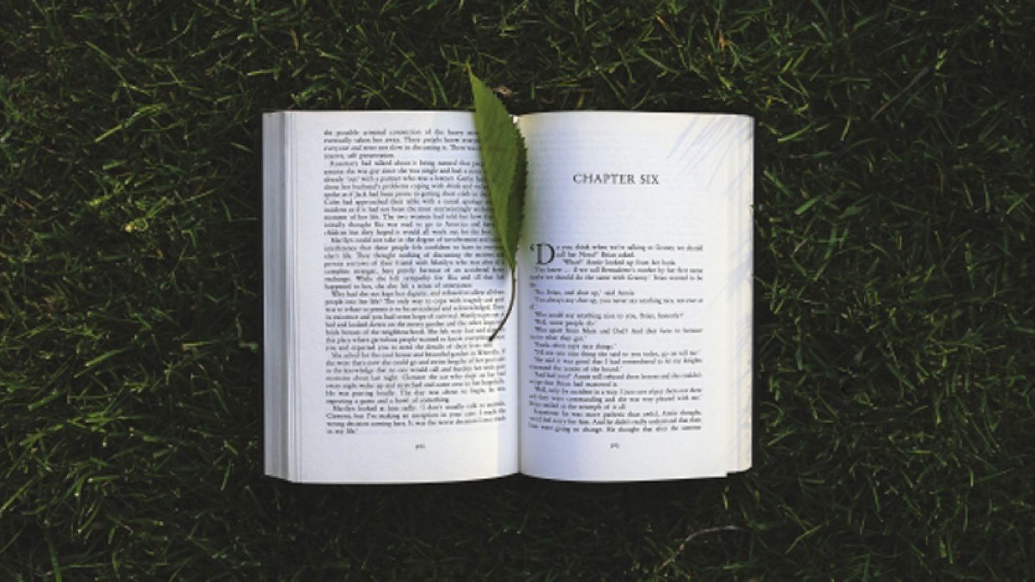 Do you ditch or endure?