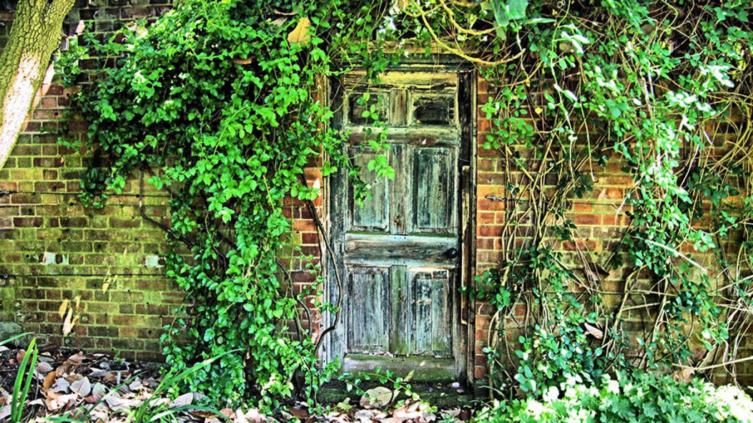The Door Into The Secret Garden In Kew Gardens - London.