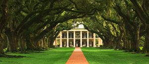 Oak Alley Plantation
