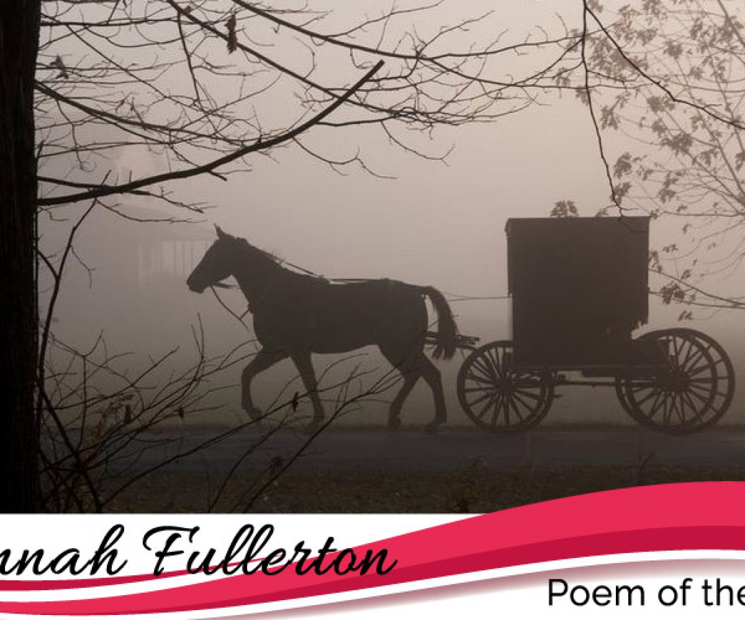 Poem of the month - Because I could not stop for death