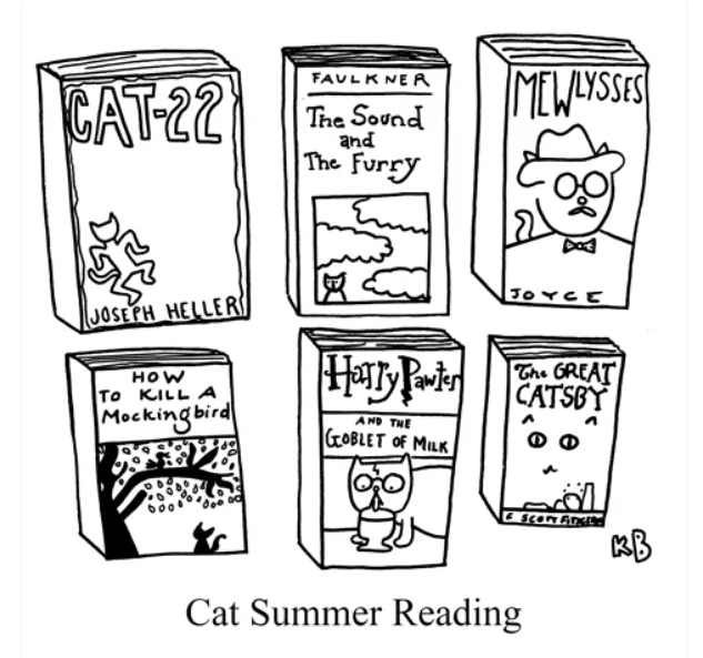 Cat books