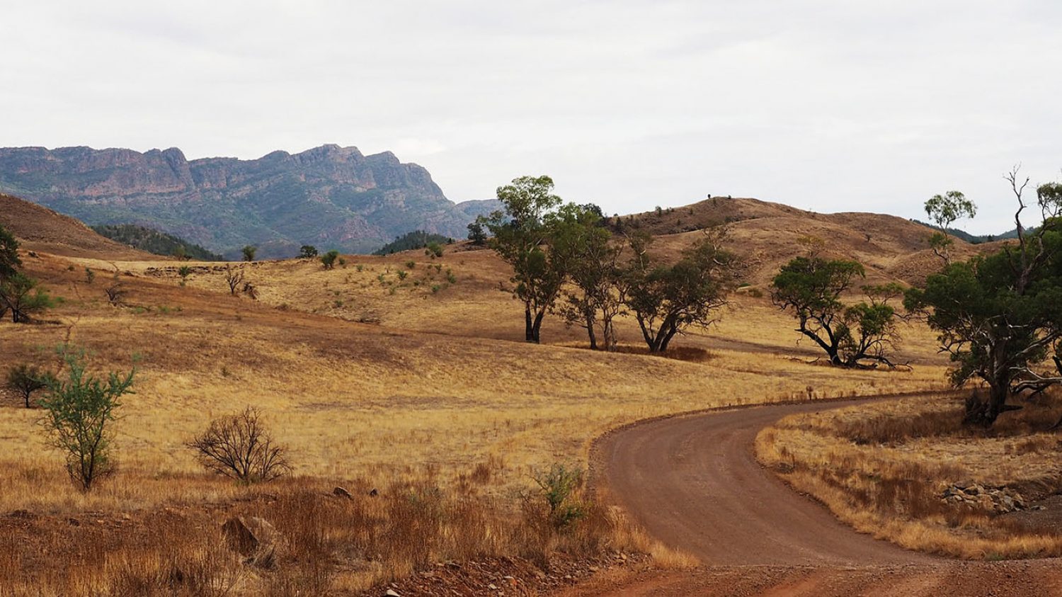 Outback Australia by Zombaba