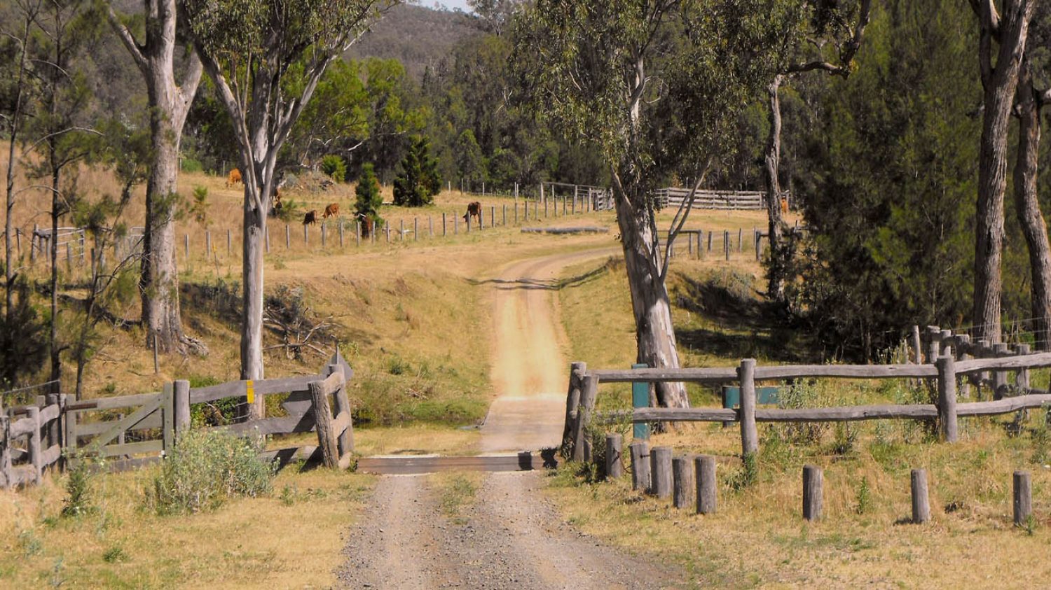 Australian Country Road