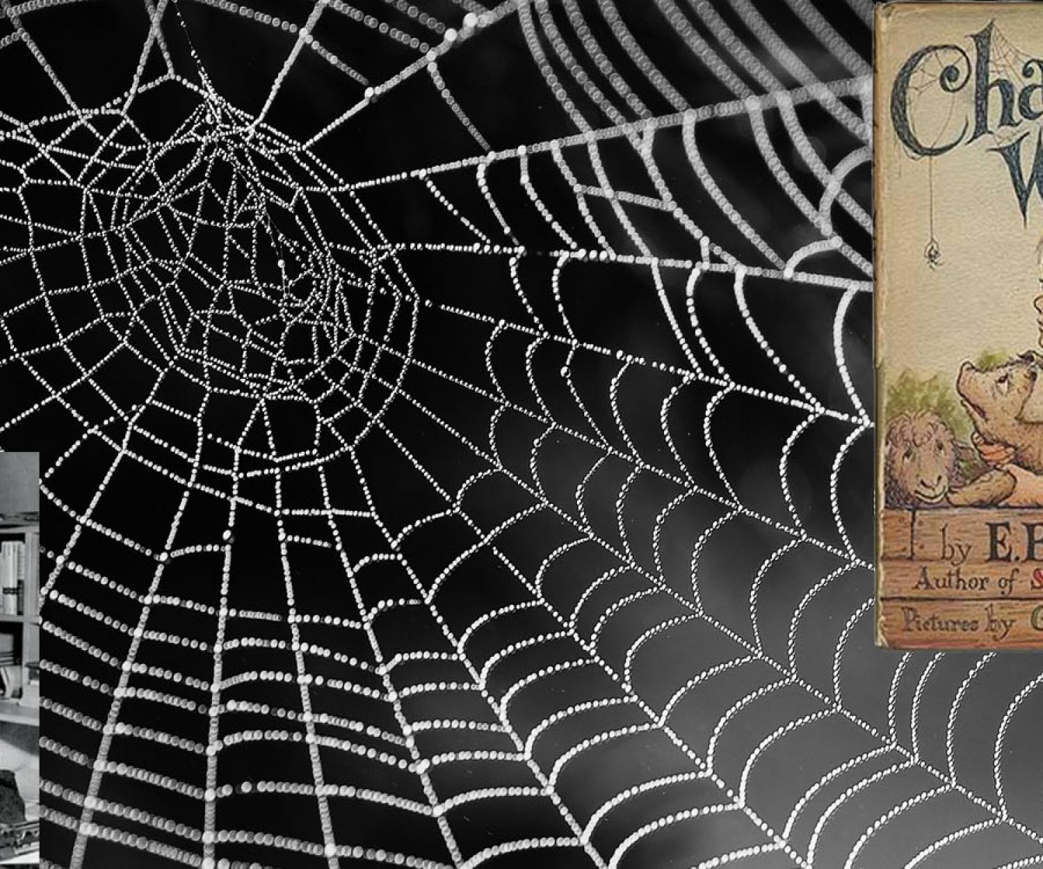Charlotte's Web by E.B. White