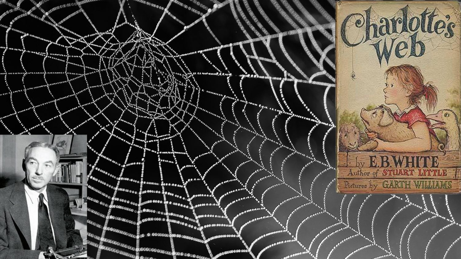 Charlotte's Web by E.B. White
