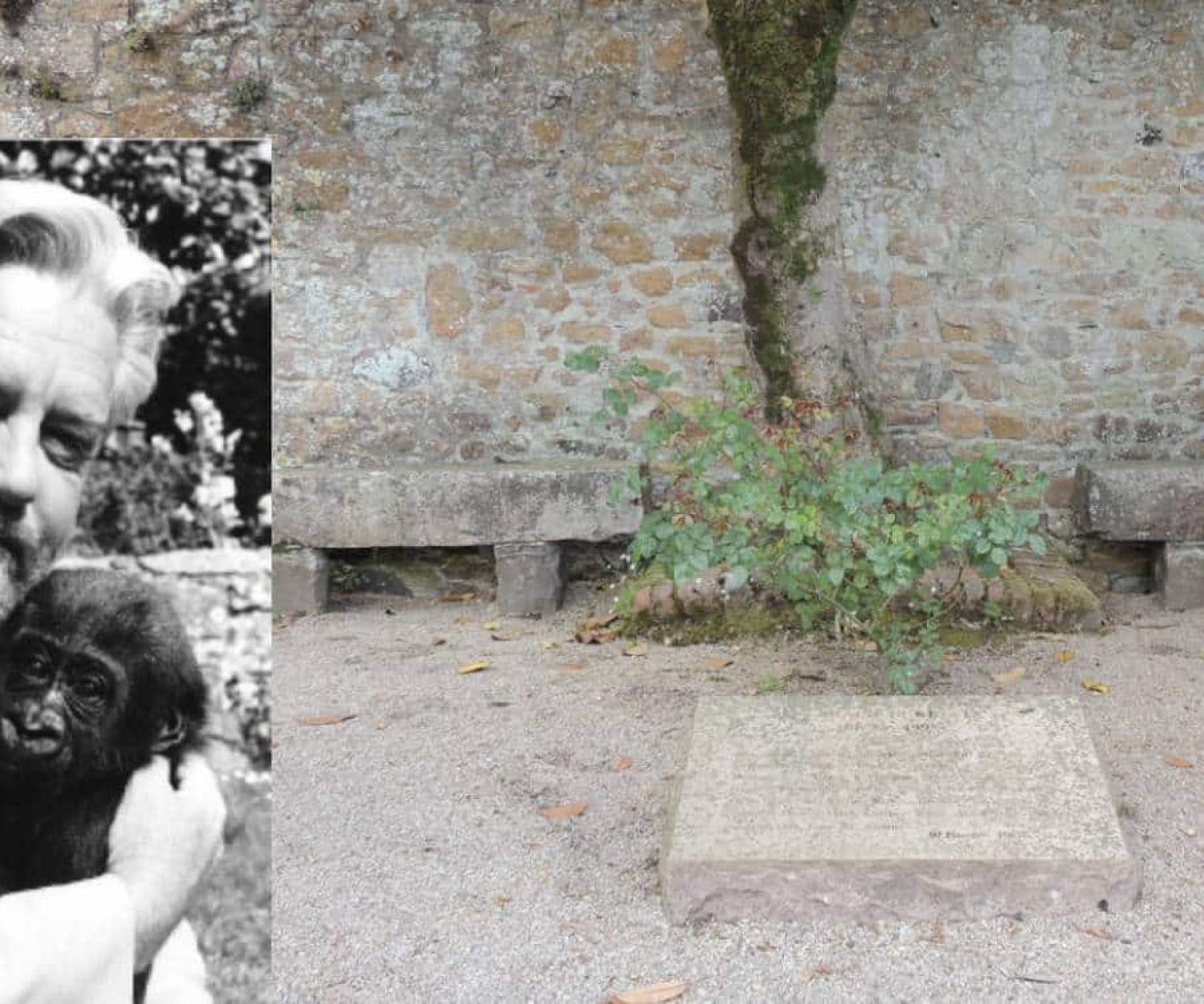 Gerald Durrell Memorial, Jersey Zoo