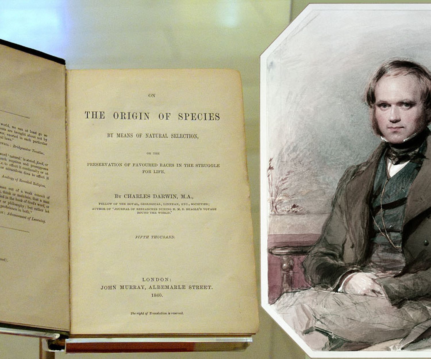 Charles Darwin & On The Origin of Species