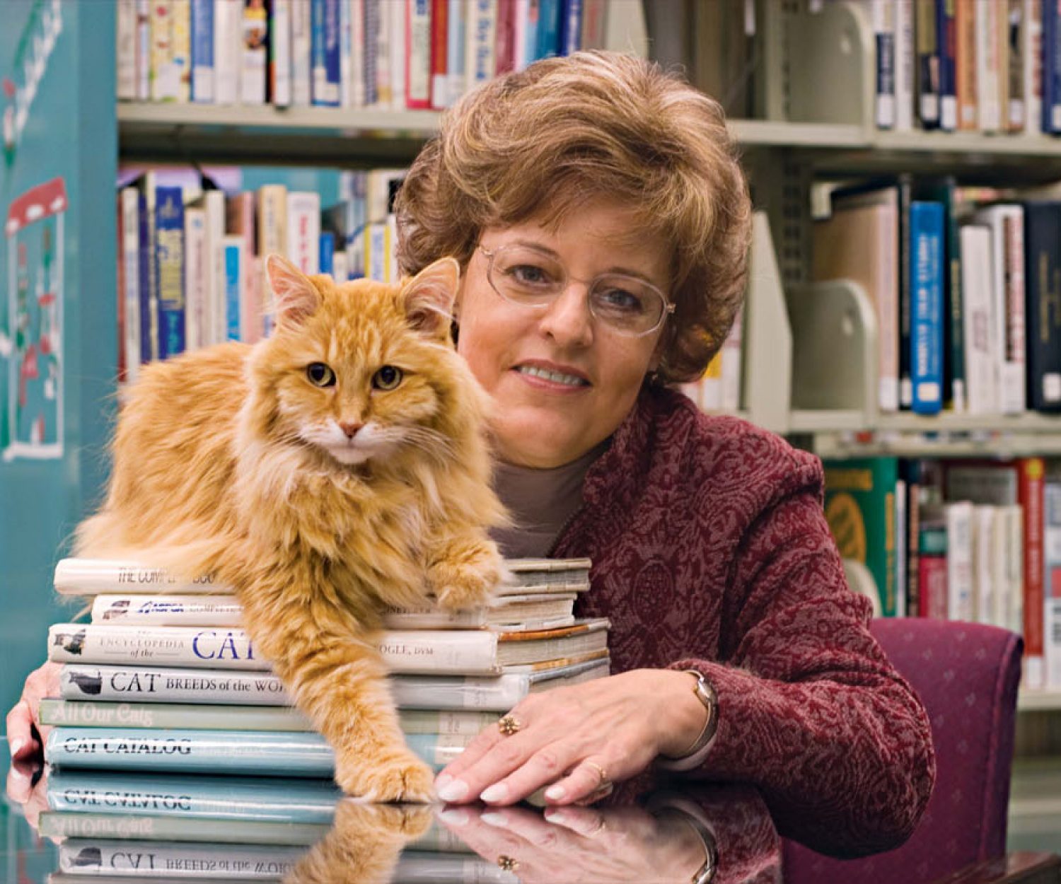 Vicky Myron & Dewey Readmore Books