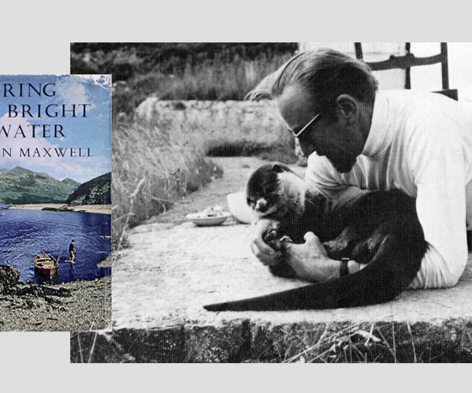 Ring of Bright Water by Gavin Maxwell