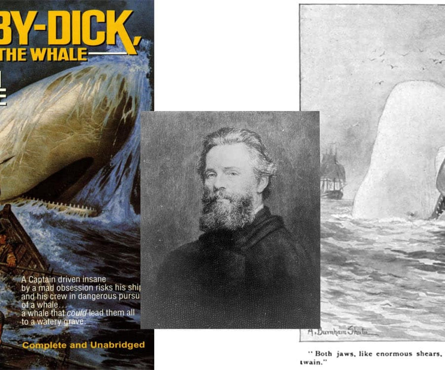 Moby Dick by Herman Melville
