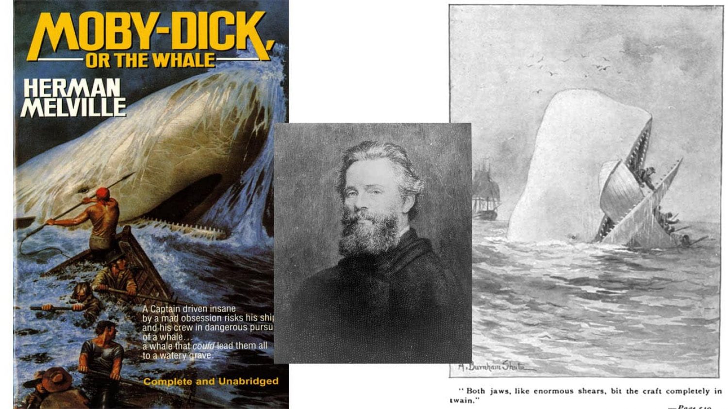 Moby Dick by Herman Melville