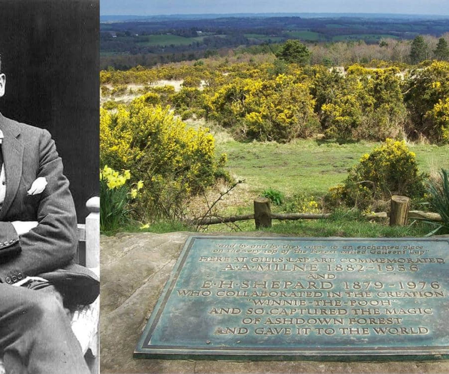 A.A. Milne & memorial plaque in Ashdown Forest