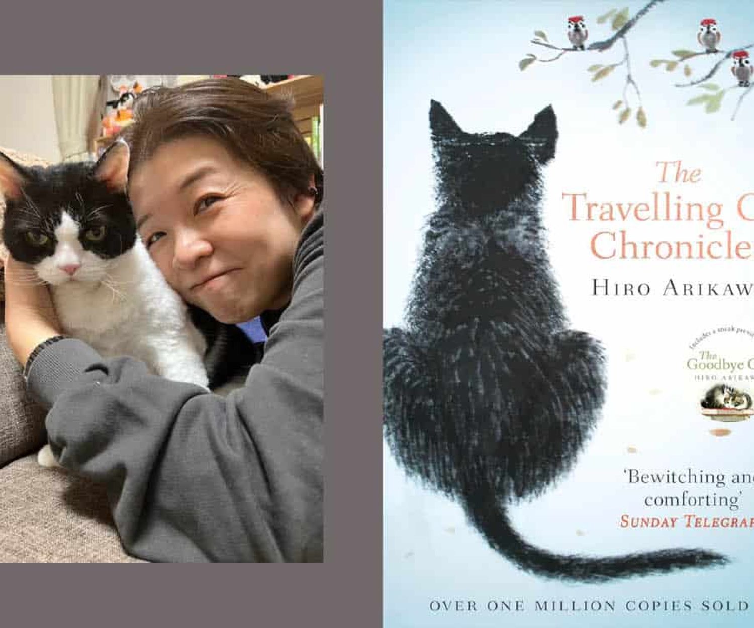 Hiro Arikawa, The Travelling Cat Chronicles