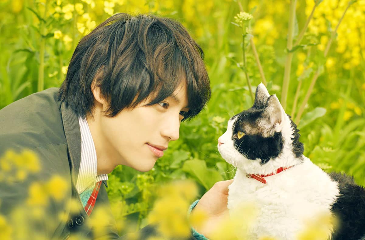 Sôta Fukushi in The Travelling Cat Chronicles (2018)