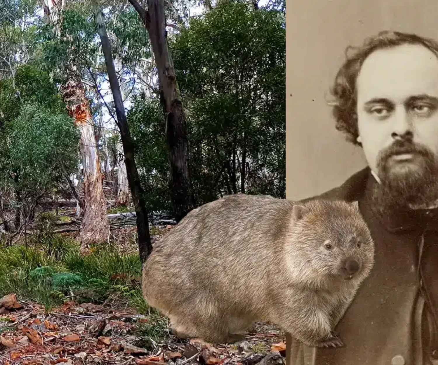 Dante Gabriel Rossetti's Wombat