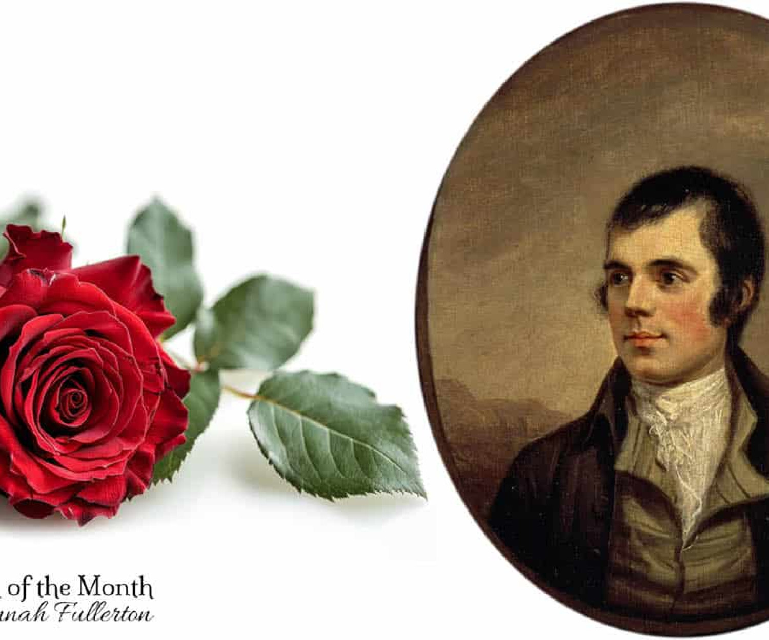 My Luve is Like a Red Rose