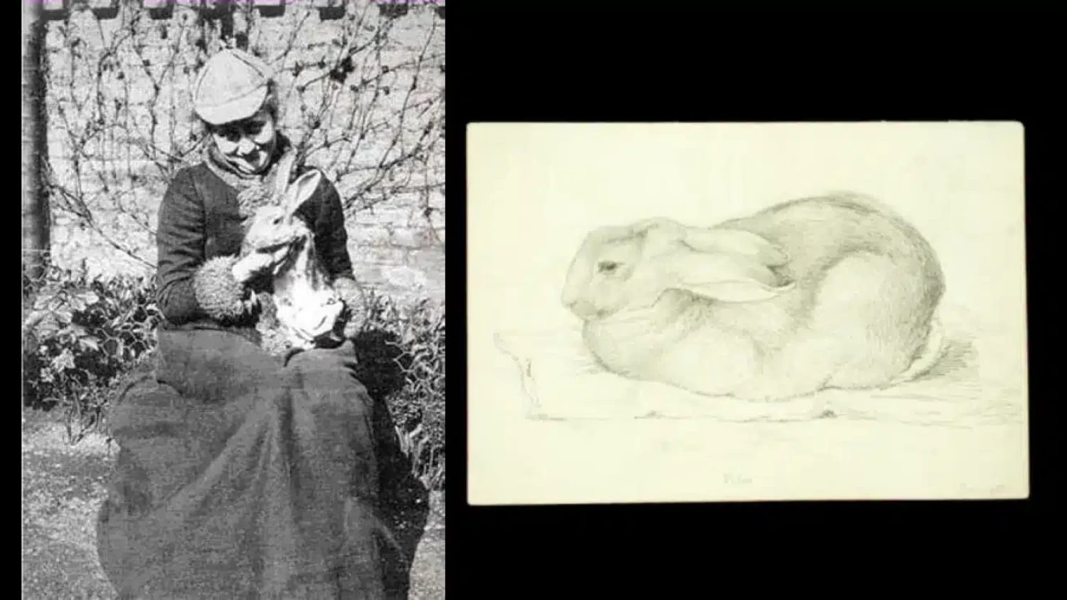 Beatrix Potter and Peter Piper
