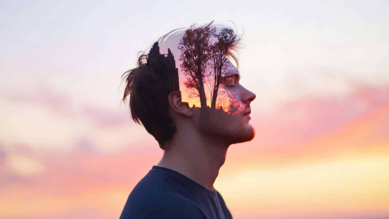 What's in Your Mind's Eye?