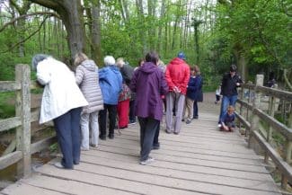 My tour group playing Poohsticks in the 100 Acre Wood