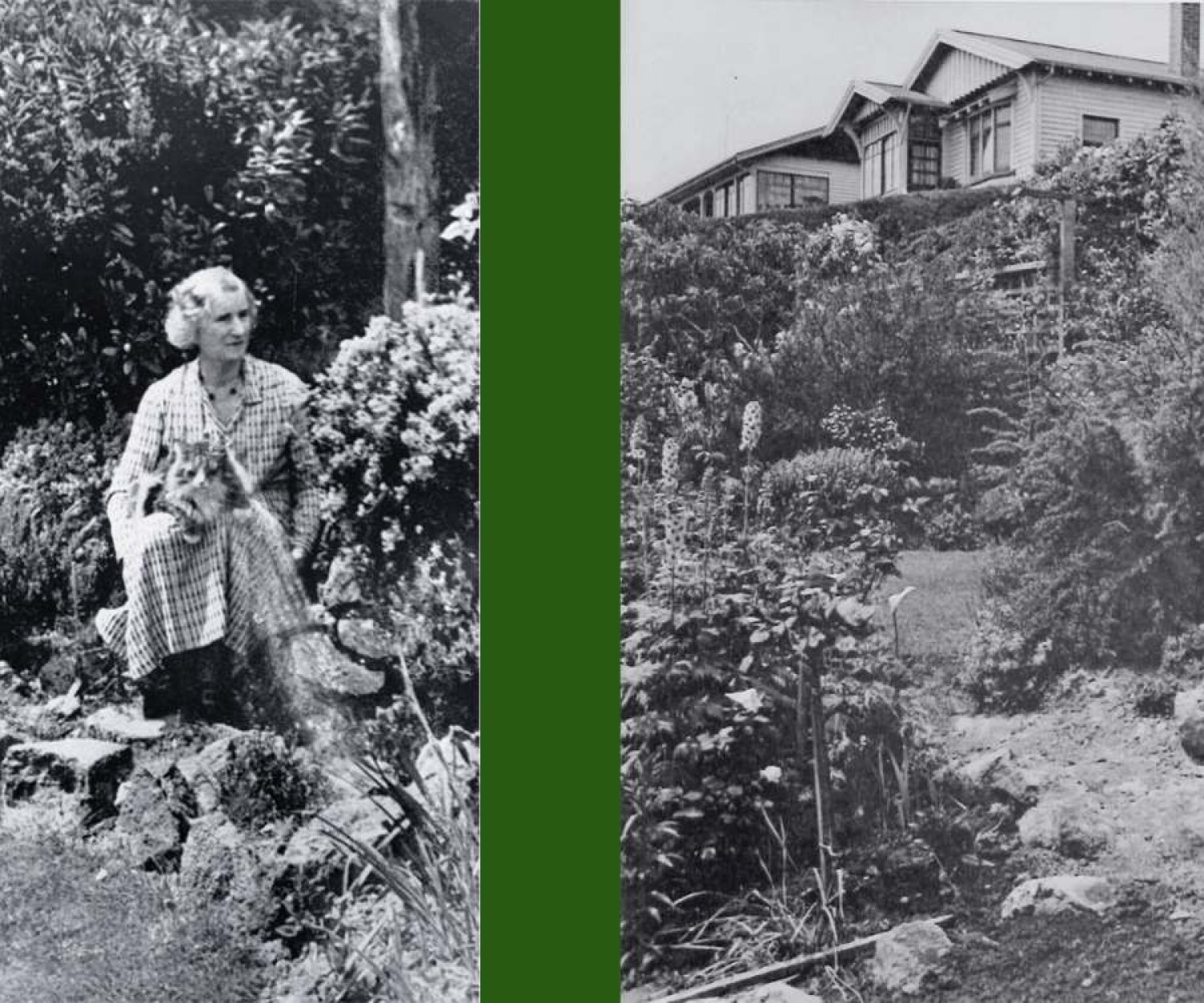 Ursula Bethell in her garden