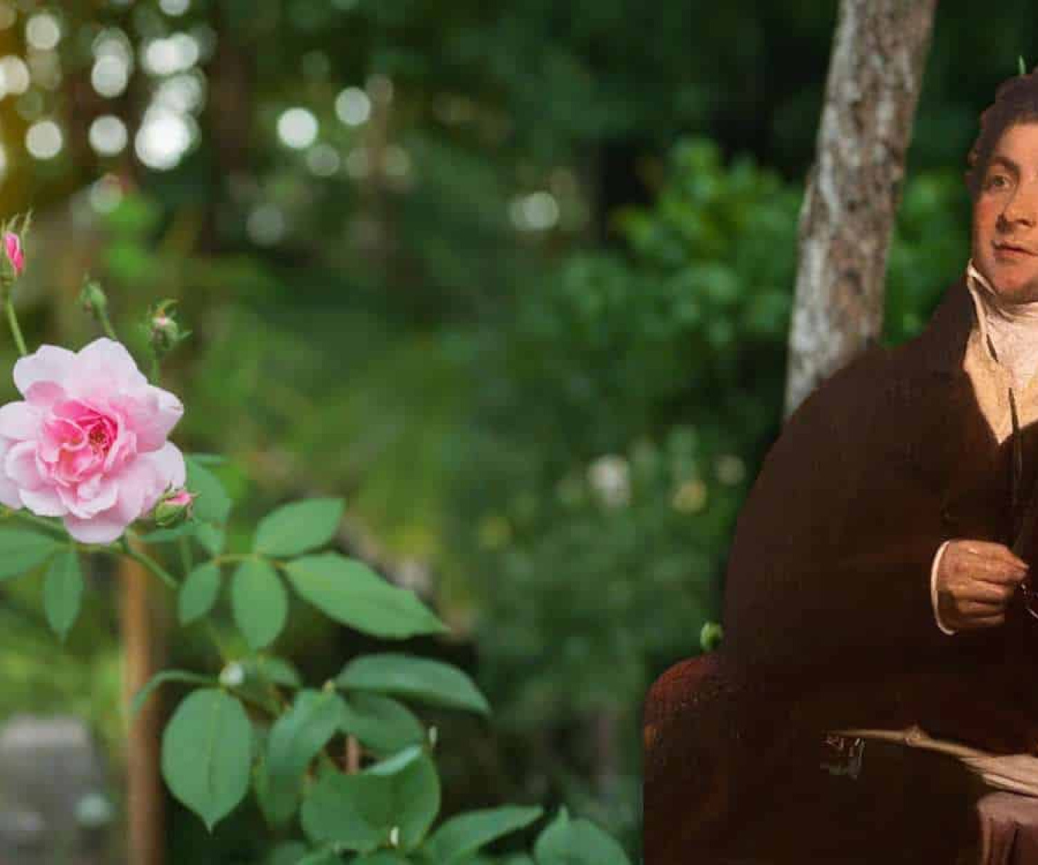 Thomas Moore, The Last Rose of Summer