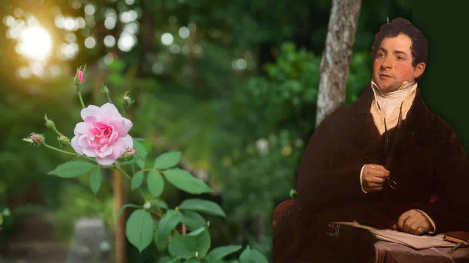 Thomas Moore, The Last Rose of Summer