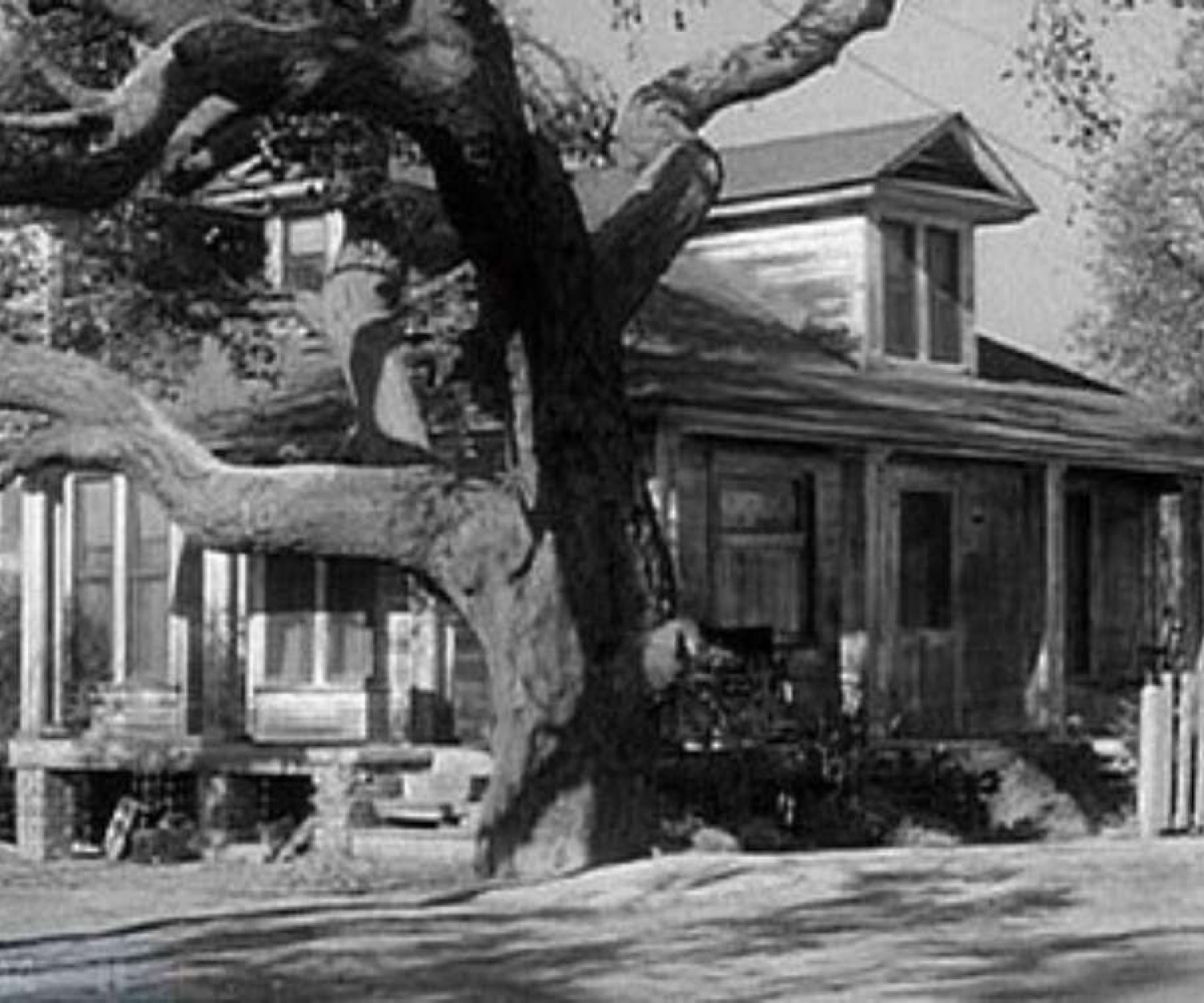 Boo Radley's house and oak tree tree