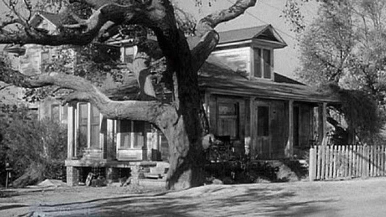 Boo Radley's house and oak tree tree
