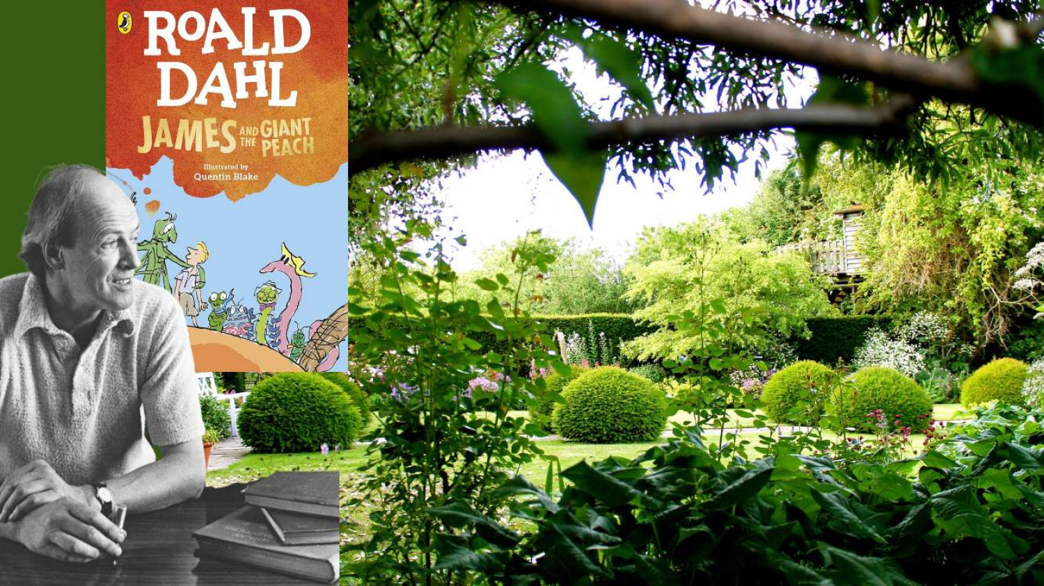 Roald Dahl & his garden