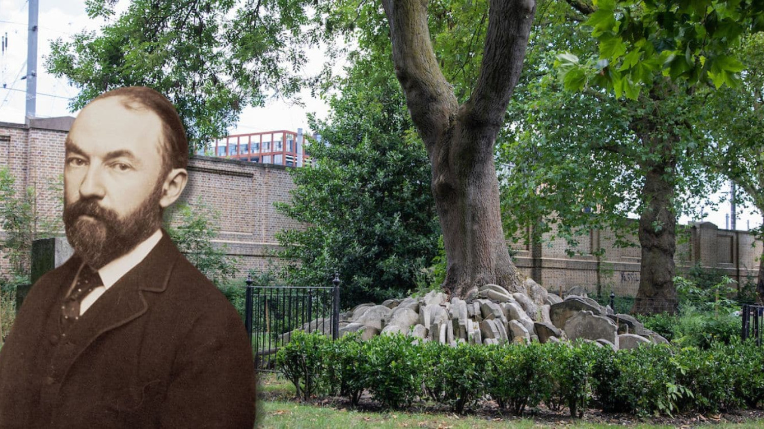 "The Hardy Tree" in Old St Pancras churchyard prior to 27 December 2022